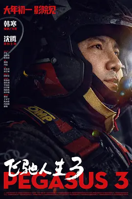 大菠萝精品导航