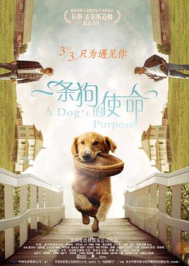 性欧美www