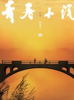 成人a视频