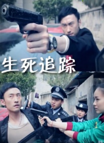 综合88