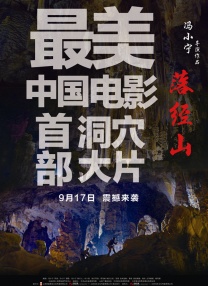 日韩在线观看不卡