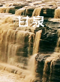 日韩种子