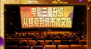 一级黄色蝶片